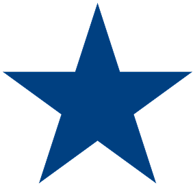 section-star-img